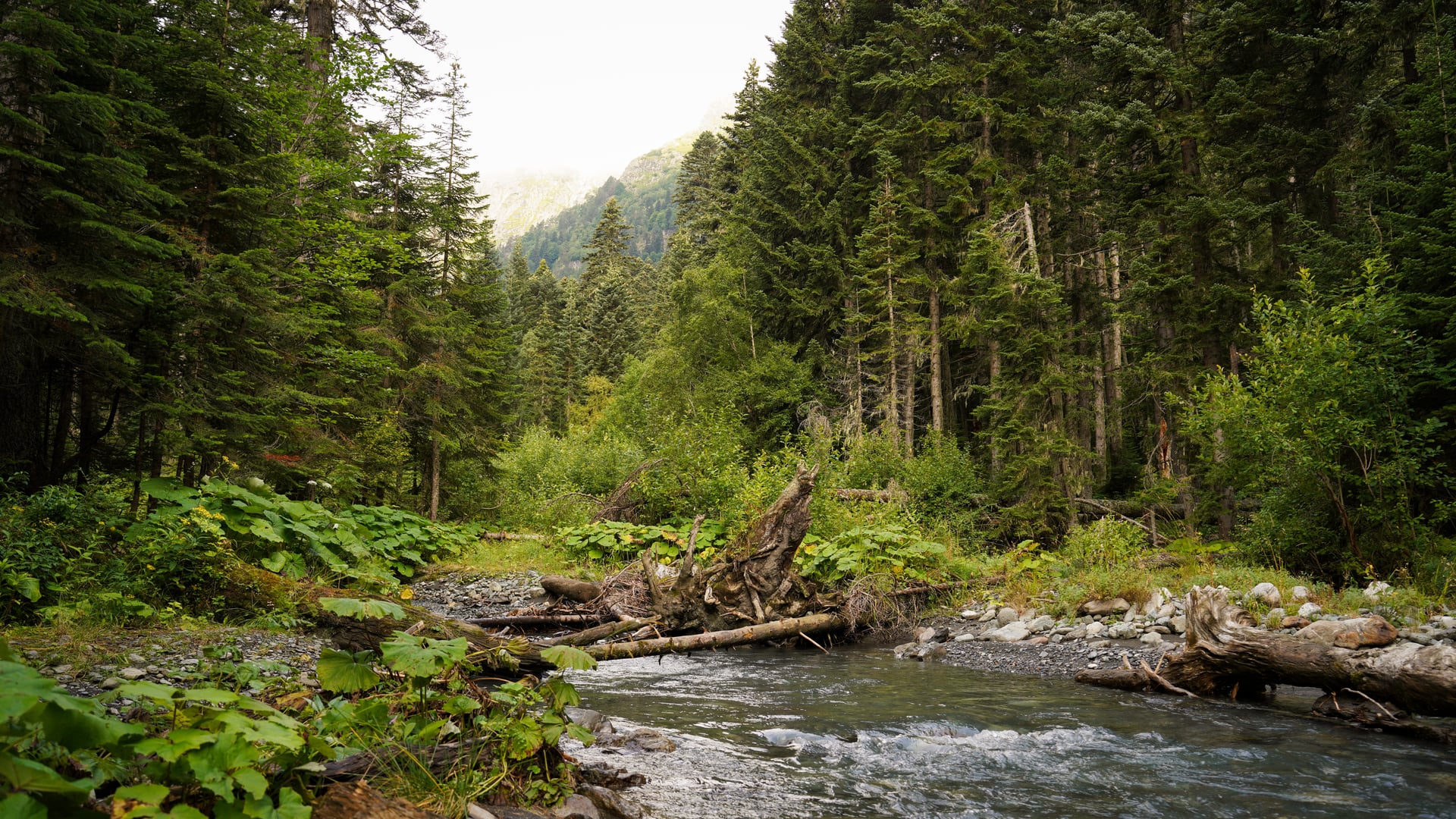 День 4, фото 3